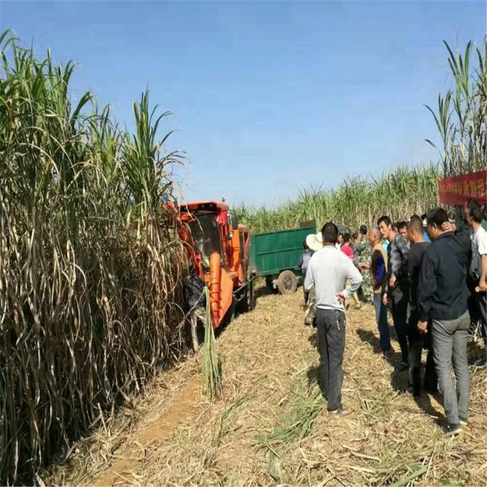 Mini combine harvester in india/sugarcane harvester low price from china