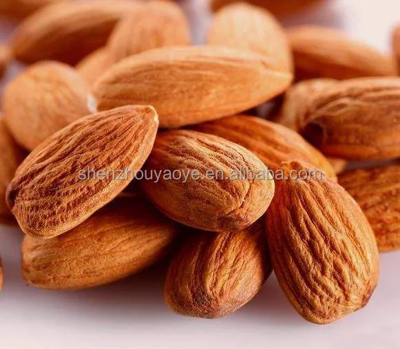 
China Sweet Almonds-Badam with shell 
