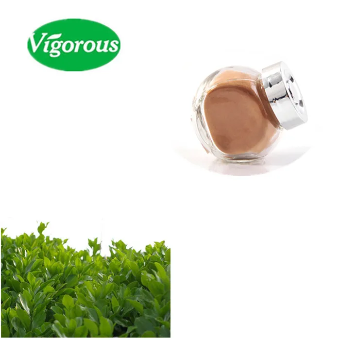 Natural Yerba Mate Bulk Leaf Extract