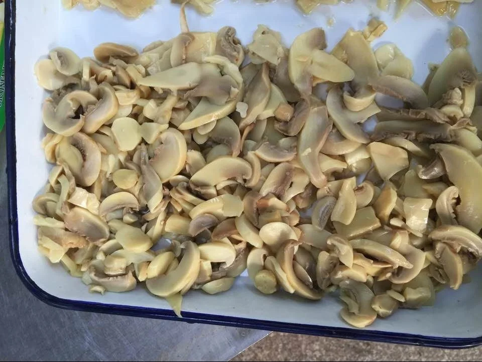 Chinese Champignon Mushroom Canned Mushroom whole ,Canned Mushroom PNS
