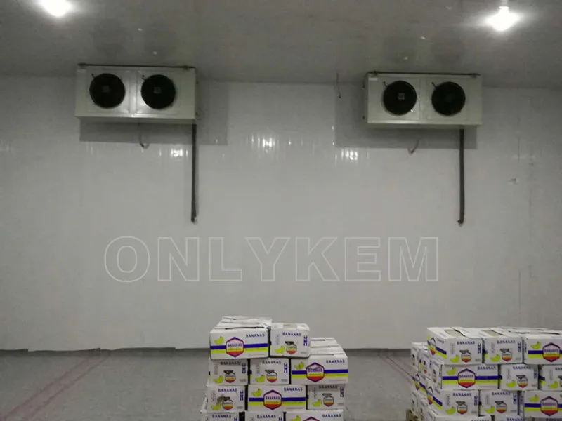 Промышленные холодильники с банановым созревателем