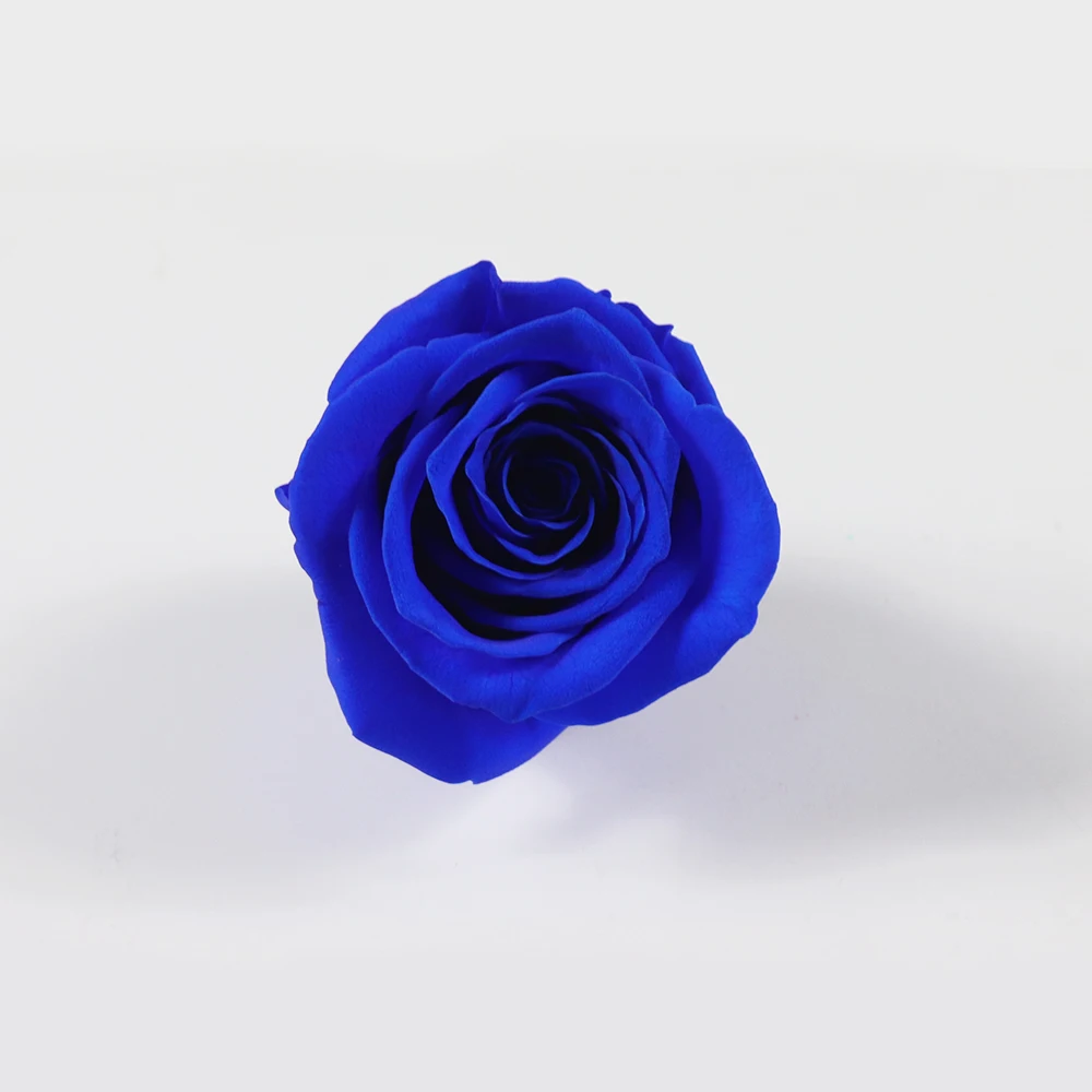 All occasions roses head preserved fresh flower rose for sale
