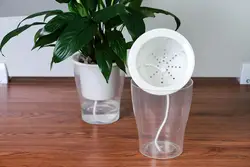 Factory direct sale self watering lazy round transparent ornamental plastic flowerpot