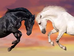 Wholesale of 3D Lenticular Pictures of Horse 5D Lenticular Printing of Animal for House Decor