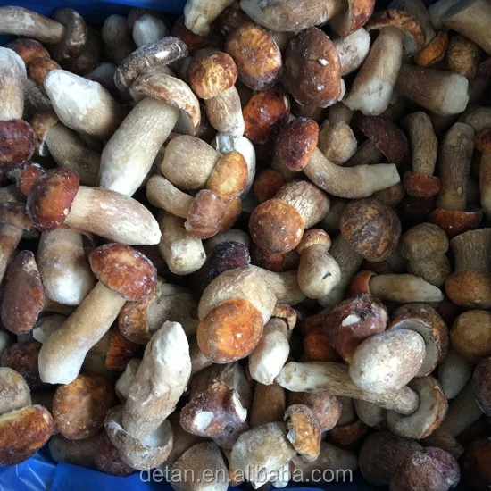 
Detan Frozen Porcini Mushrooms 