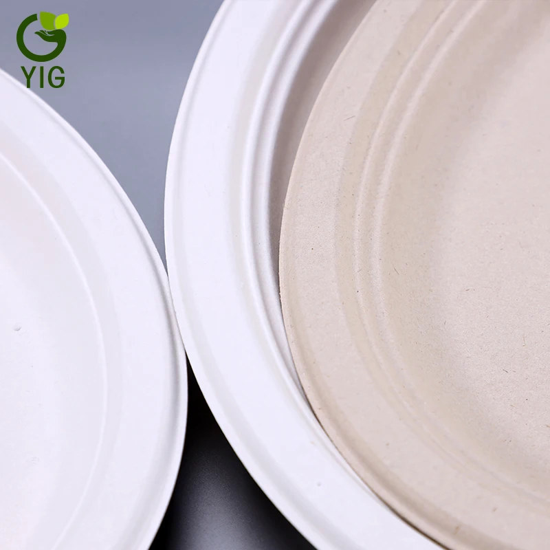 
10 Inches 100% Eco Friendly Disposable Sugarcane Oval Plates 