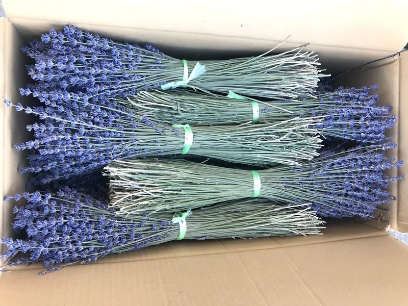 wholesale best quality dry lavender flower pure dried lavender buds