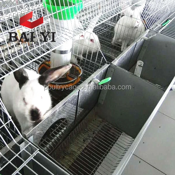 High Quality Rabbit Breeding Cages With Rabbit Drinker For Sale