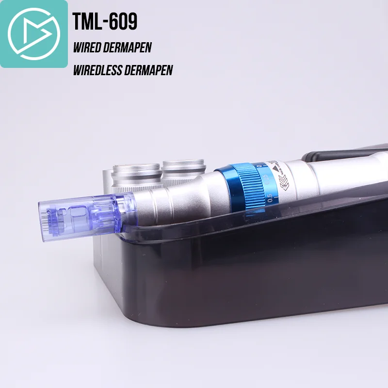 
RTS ODM Service A6 Dermapen profissional original Medical dr derma pen 