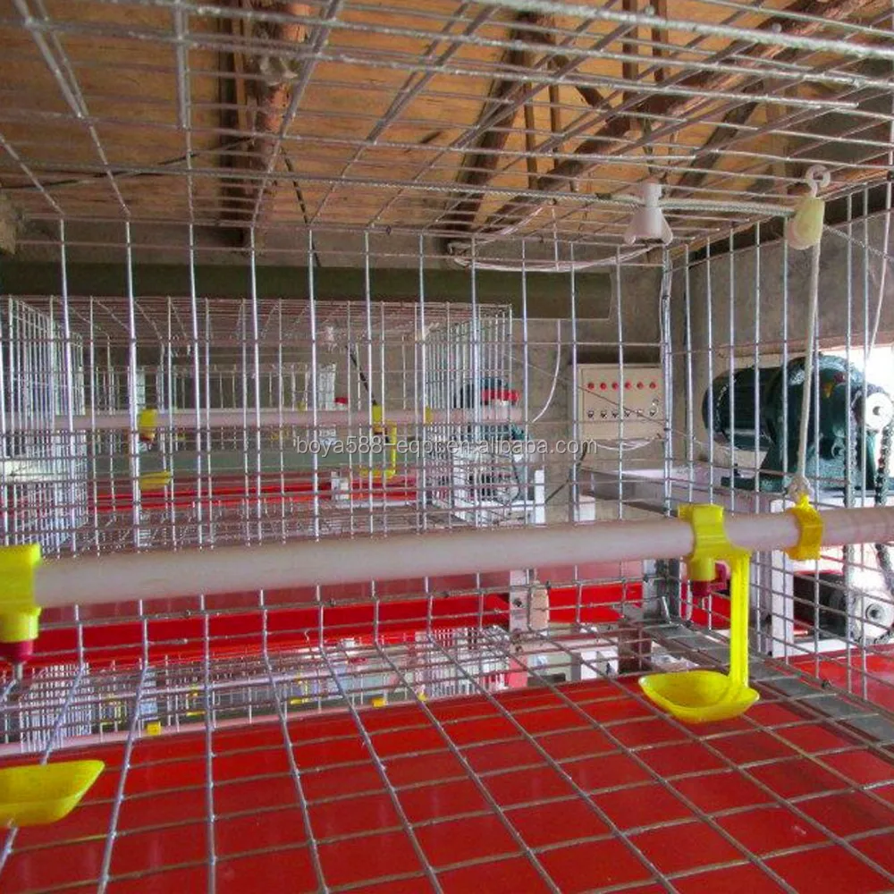 
Боя Автоматическая куры питьевая система для птицы 