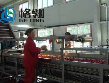 Customized hot selling Tomato juice and jam production line Best sell 2020