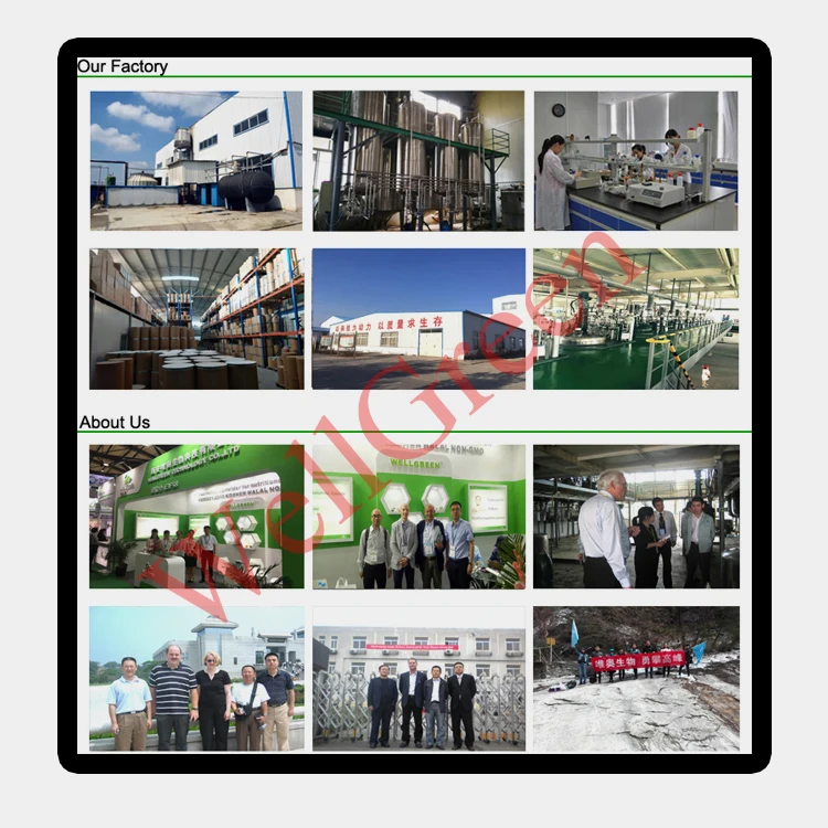 
High Quality Animal Feed Additive 325mesh Zeolite Powder 