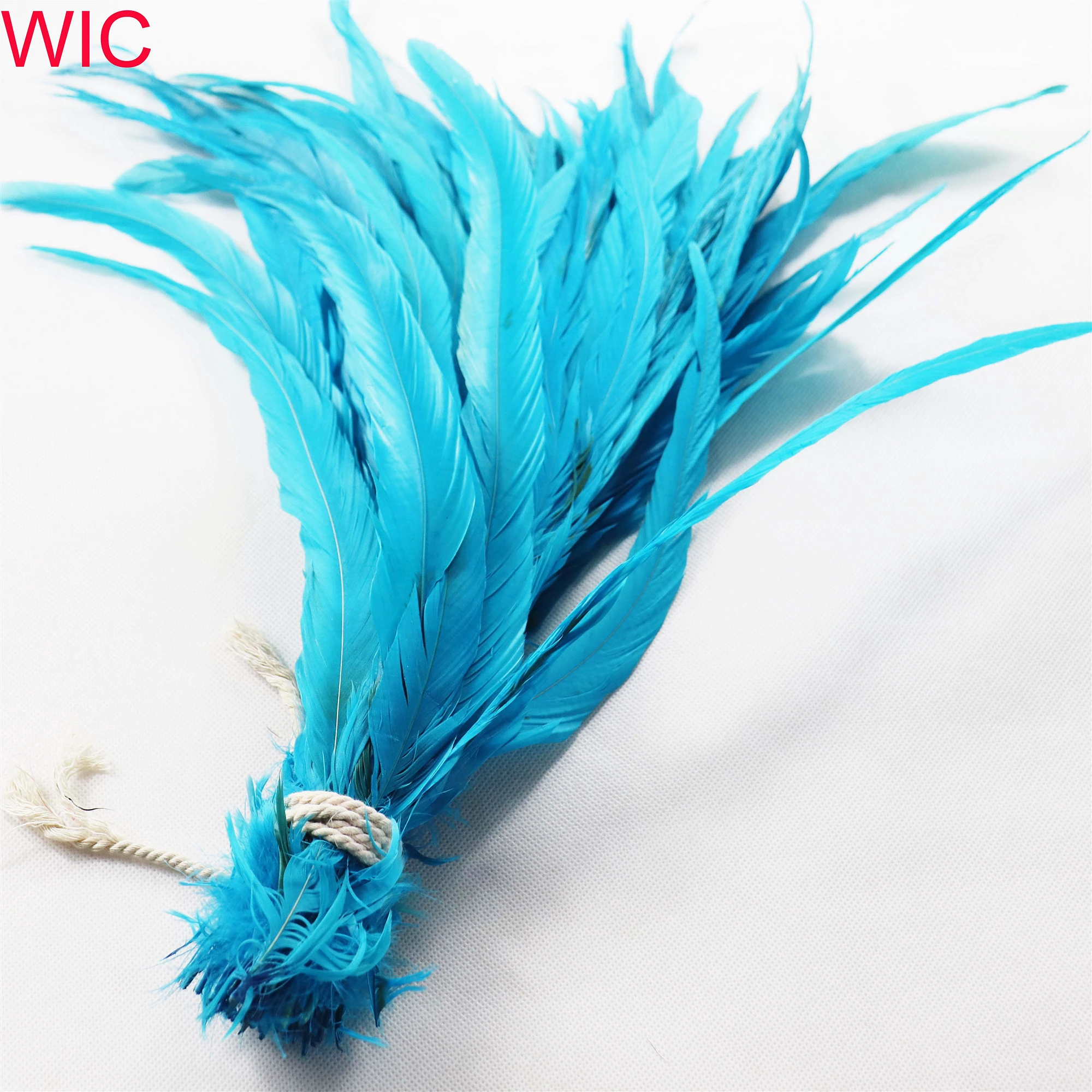 Cheap Wholesale Dyed Fashion Rooster Tail Feather Color Long Cock Chicken Feather for Carnival Costumes