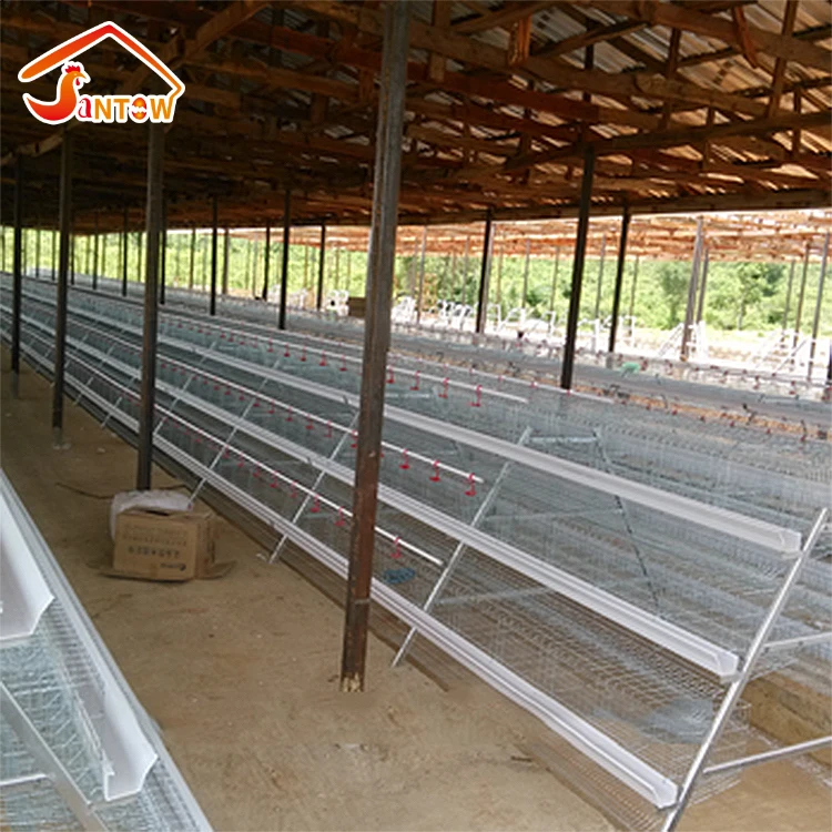 Factory sale battery cages laying hens African automatic chicken cage for 1 day old chicks farm