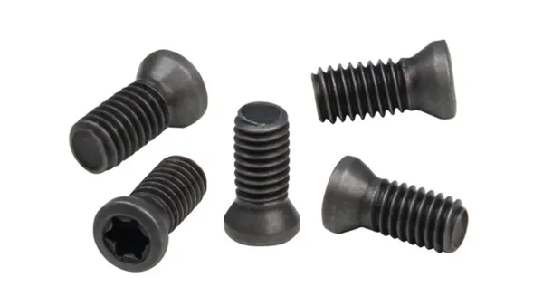 Made in China Torx Head Screw M2.5*6 torx screw