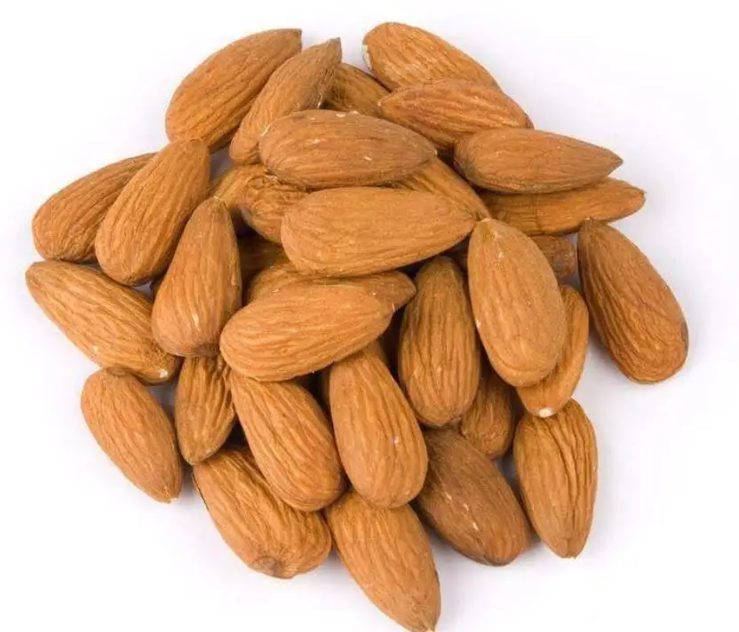 Edible raw natural kernels meat Dried Prunus armeniaca seeds for food