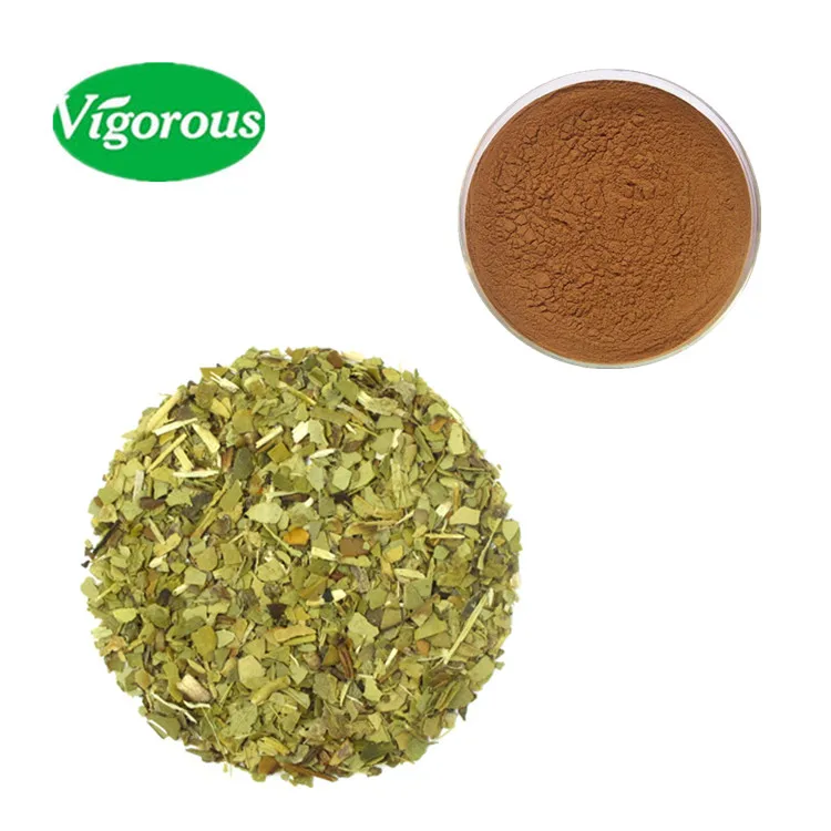 Yerba Mate Powder/Ilex paraguariensis P.E./Paraguay tea Extract