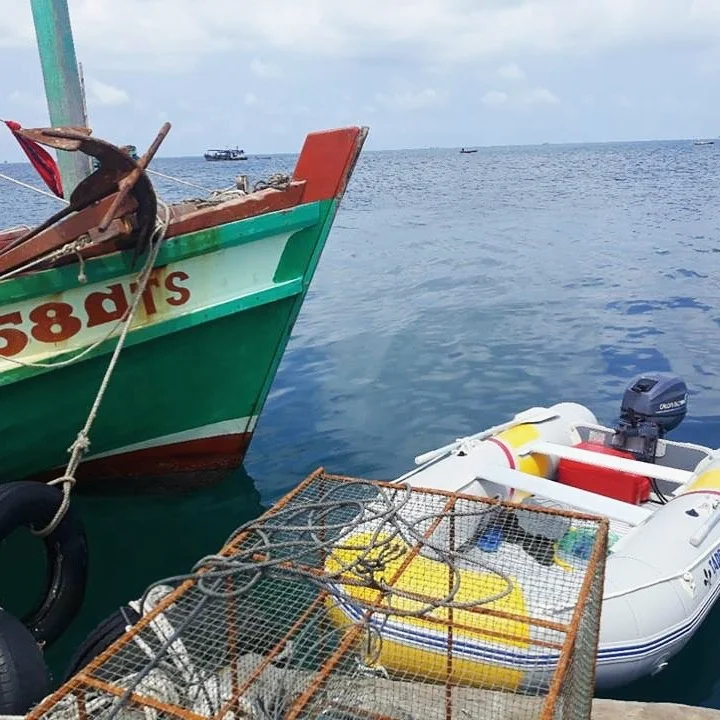 March Supplier Vietnam Thailand market T9.9 T15  outboard gasoline marine engine