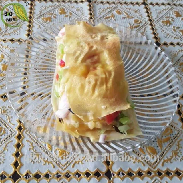 organic soy pasta lasagne