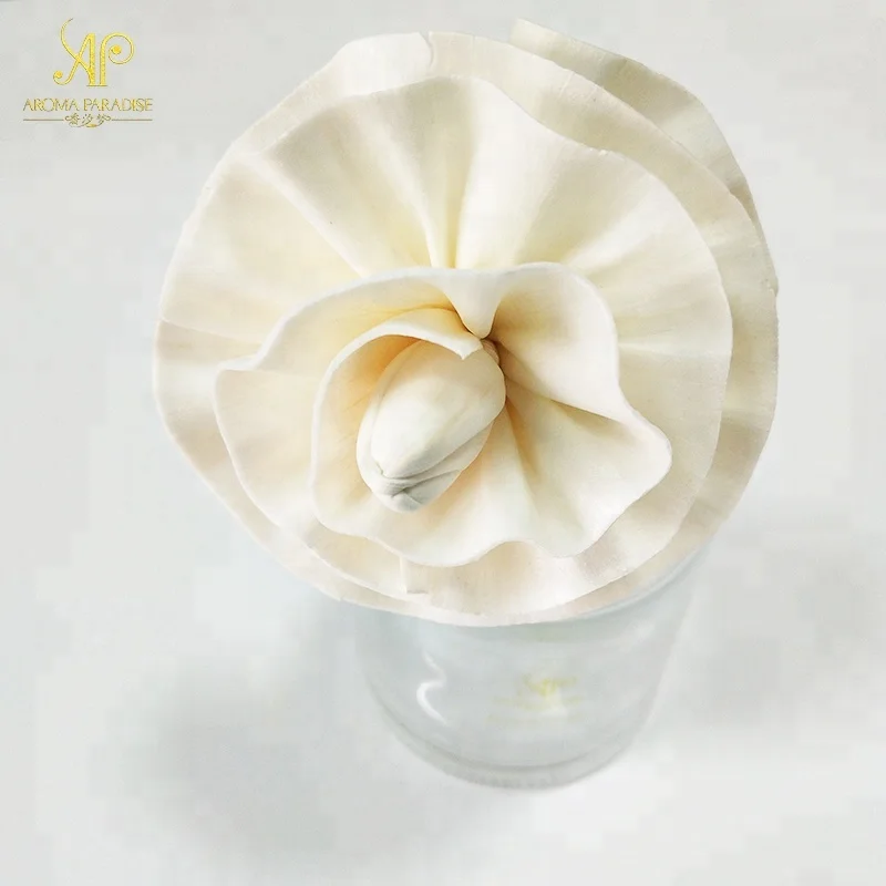 Customized Handmade Dia 7.5 cm Peony dry flower for Home Reed Diffuser