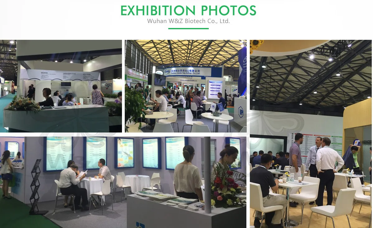 
Factory Supply Etonogestrel CAS# 54048-10-1 