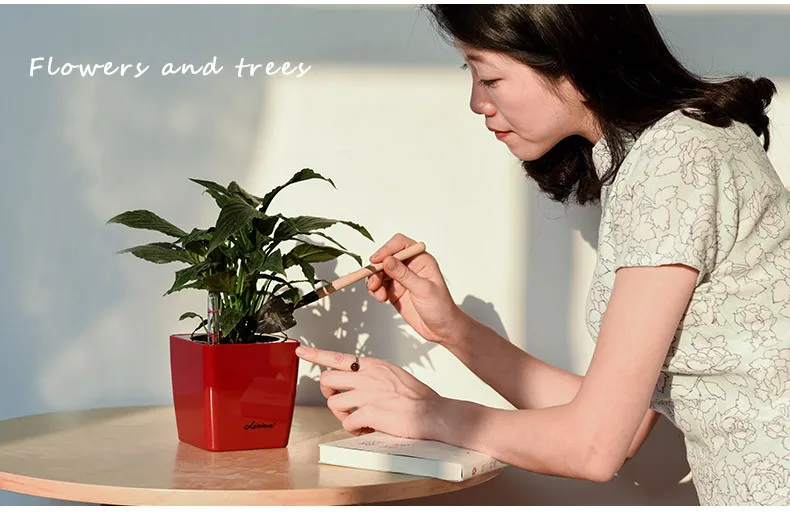 Leizisure Tropical Bonsai Plastic Flower Plant Pots With Self-watering Function