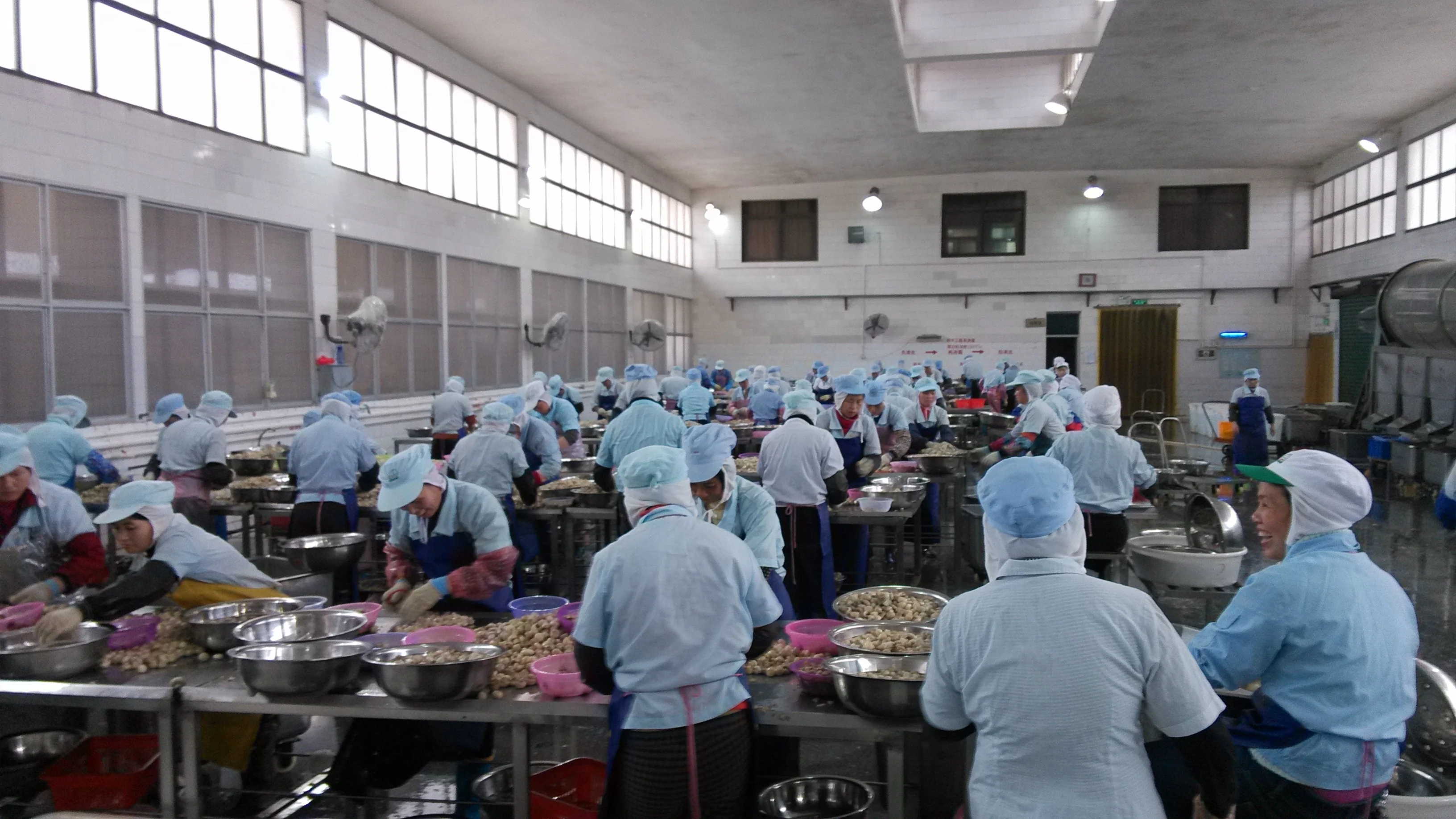 Low price canned mushroom nameko from China