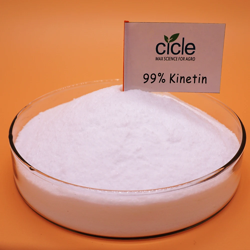 Free sample available kinetin cytokinin  CTK 99%TC plant growth regulator