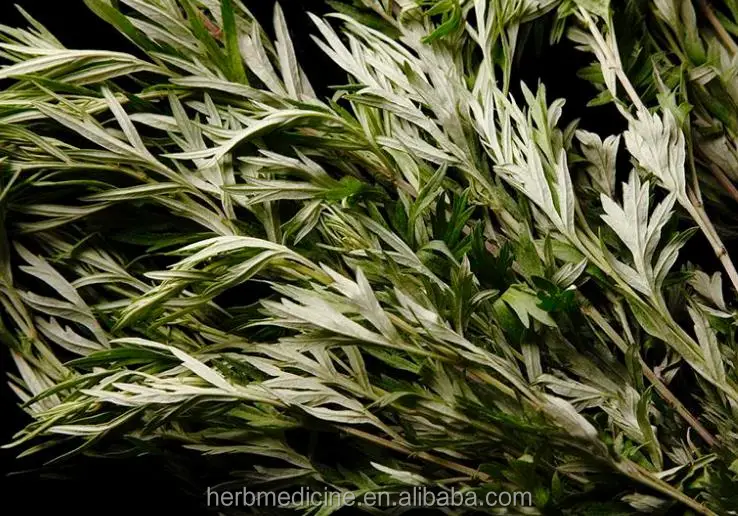 
Dried mugwort leaves uses Fights Joint Pain, Depression & Cancer 