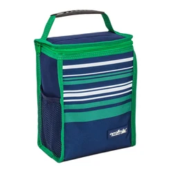 cheaper Portable Insulated lunch Bag with side bottle holder