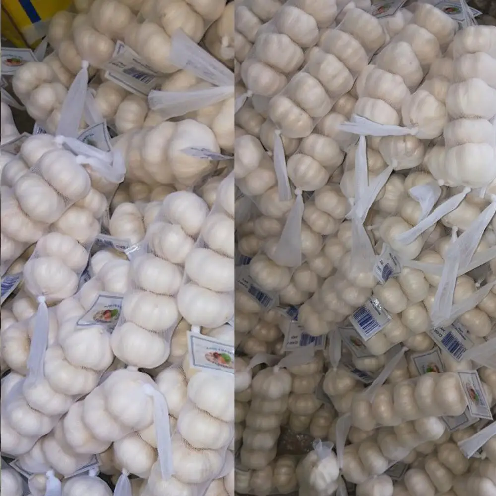
small size garlic normal white garlic chinese garlic factory 