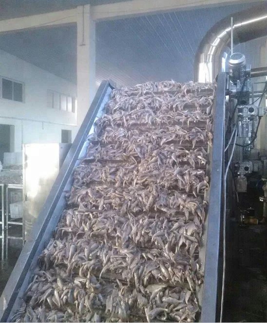 
Sturgeon /Hairtail /Cod Fish frying machine Fish fried production Line 