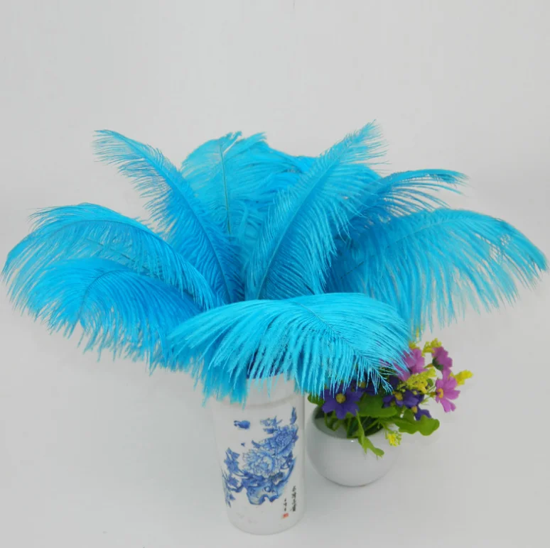 
Wholesale price factory cheap price Natural Decorative White ostrich feathers for wedding decor feather 