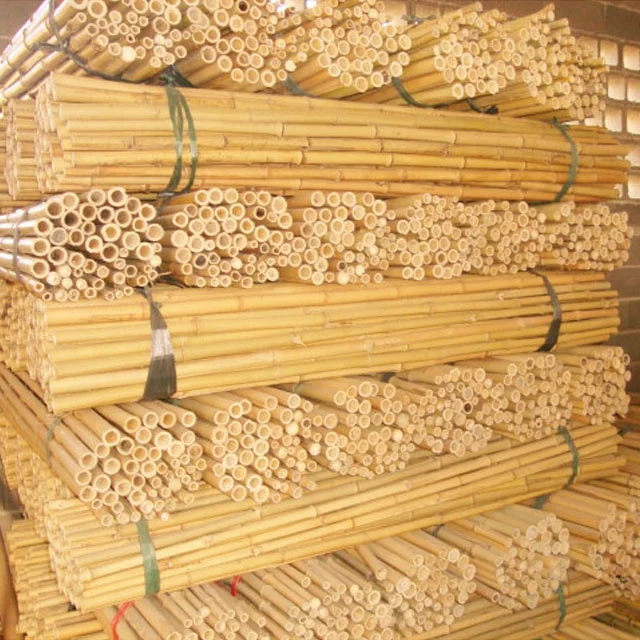 strong garden plant support bamboo pole/sticks/canes.