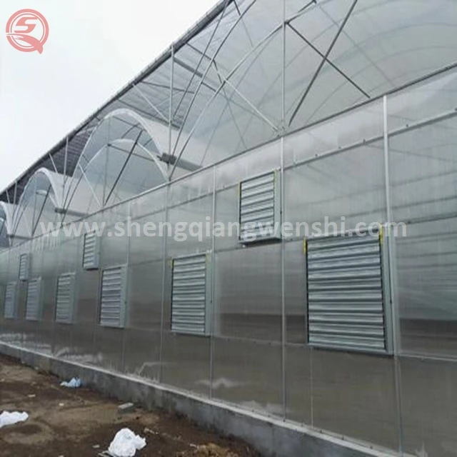 Low cost agriculture plastic film home multi span tunnel greenhouse for sale