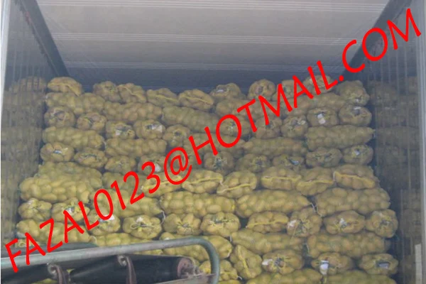 
BANGLADESHI HIGH QUALITY FRESH GRANOLA POTATO AND DIAMOND POTATO FROM EXPORT TRADE ASSOCIATE WITH CHEAP PRICE 