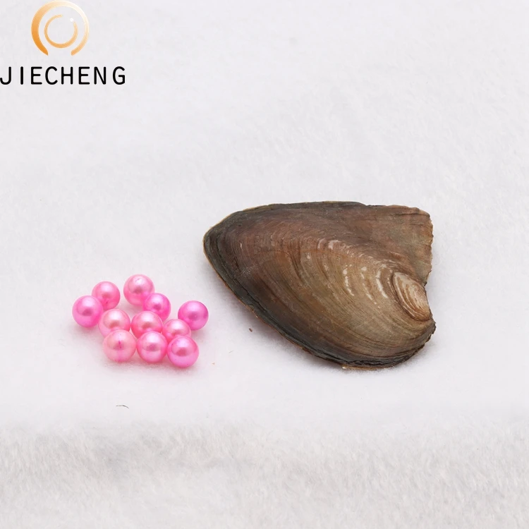 2018 оптовая продажа устричный жемчуг 7-8 мм Пресноводный Жемчуг