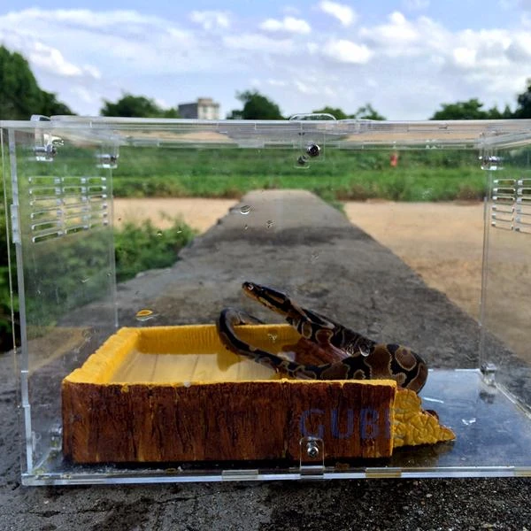 customize clear acrylic reptile egg incubator house box