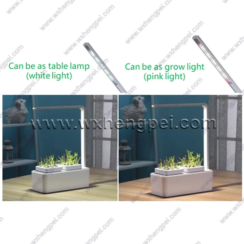 MOCLE Smart Mini Garden с подсветкой