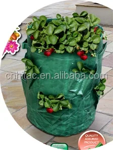 Pop up Strawberry Planter Bag,Grow Bags Strawberry Planter,Plant Pocket Strawberry Grow Bag