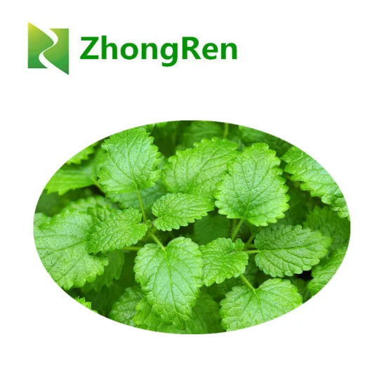 
100% natural plant extract Lemon Balm Extract, Rosmarinic Acid 