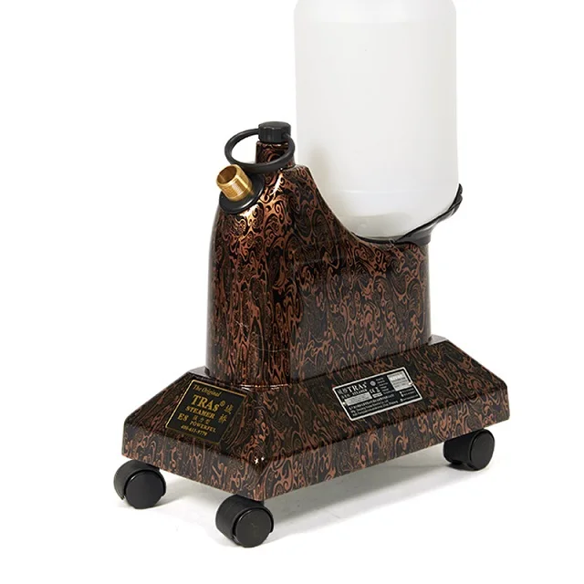 Industrial Remove Wrinkles Clothes Cleaner Large Water Capacity Standing Fabric Steamer Vertical Steamer For Clothes