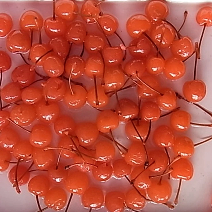 Бренд Mikado китайские Консервированные вишни maraschino Коктейльные красный зеленый синий желтый в тяжелом сиропе