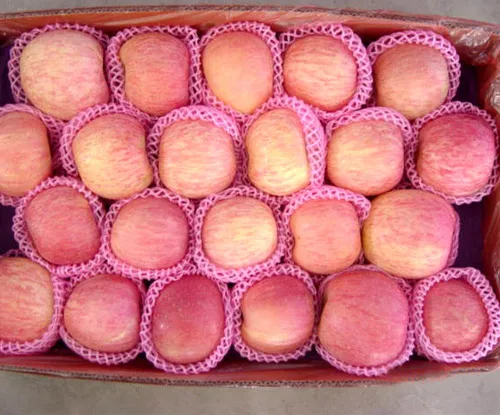 Fresh Fuji Apple