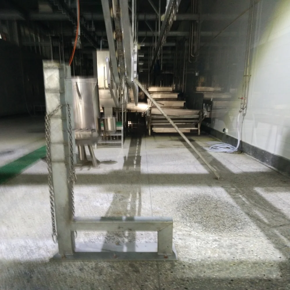 
10-30 Per day Cattle Butcher Line for Meat Beef Production Processing 