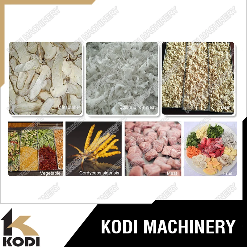 Food Industry Mini Vacuum Freeze Dryer For Home or Lab Use