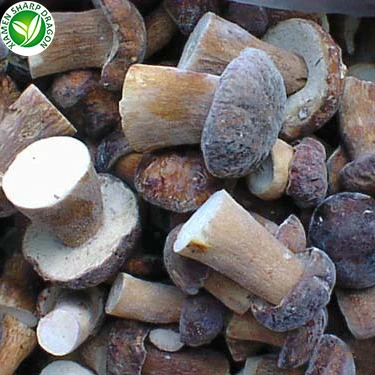 Замороженные Свежие грибы Funghi Porcini
