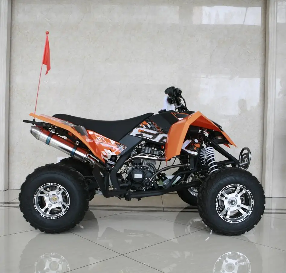 300cc Gas 4 Wheeler Quad ATV Legal Road
