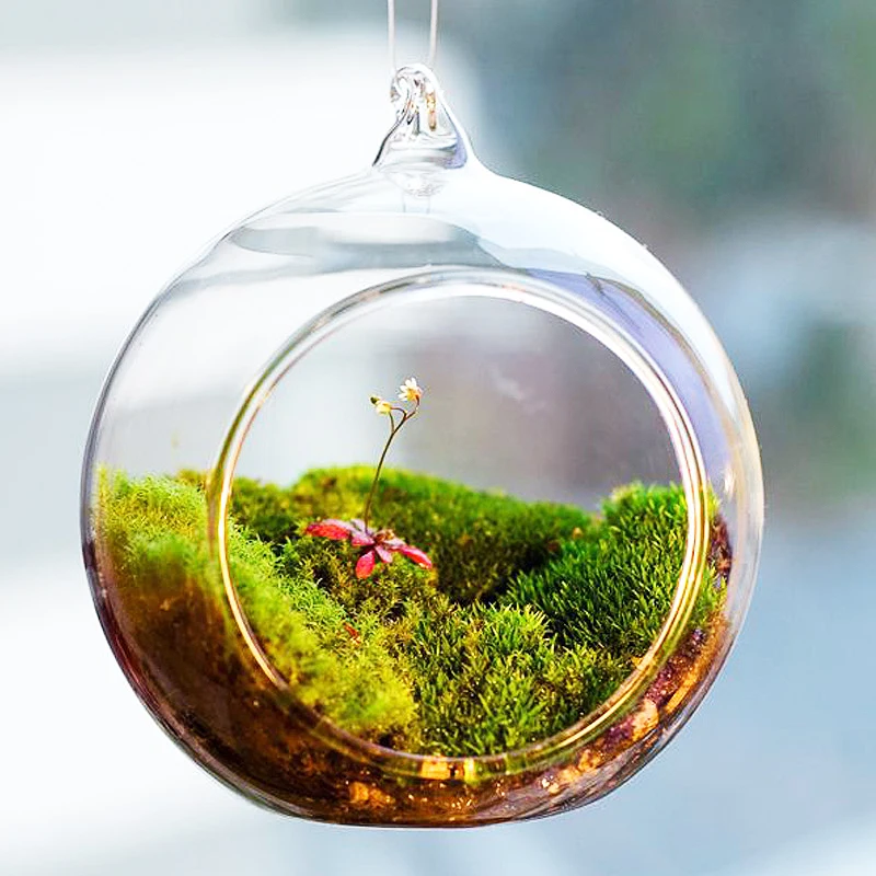 Home Decoration Decorative Vases Round Glass Vase, Floreros De Vidrio Flower Glass Vase