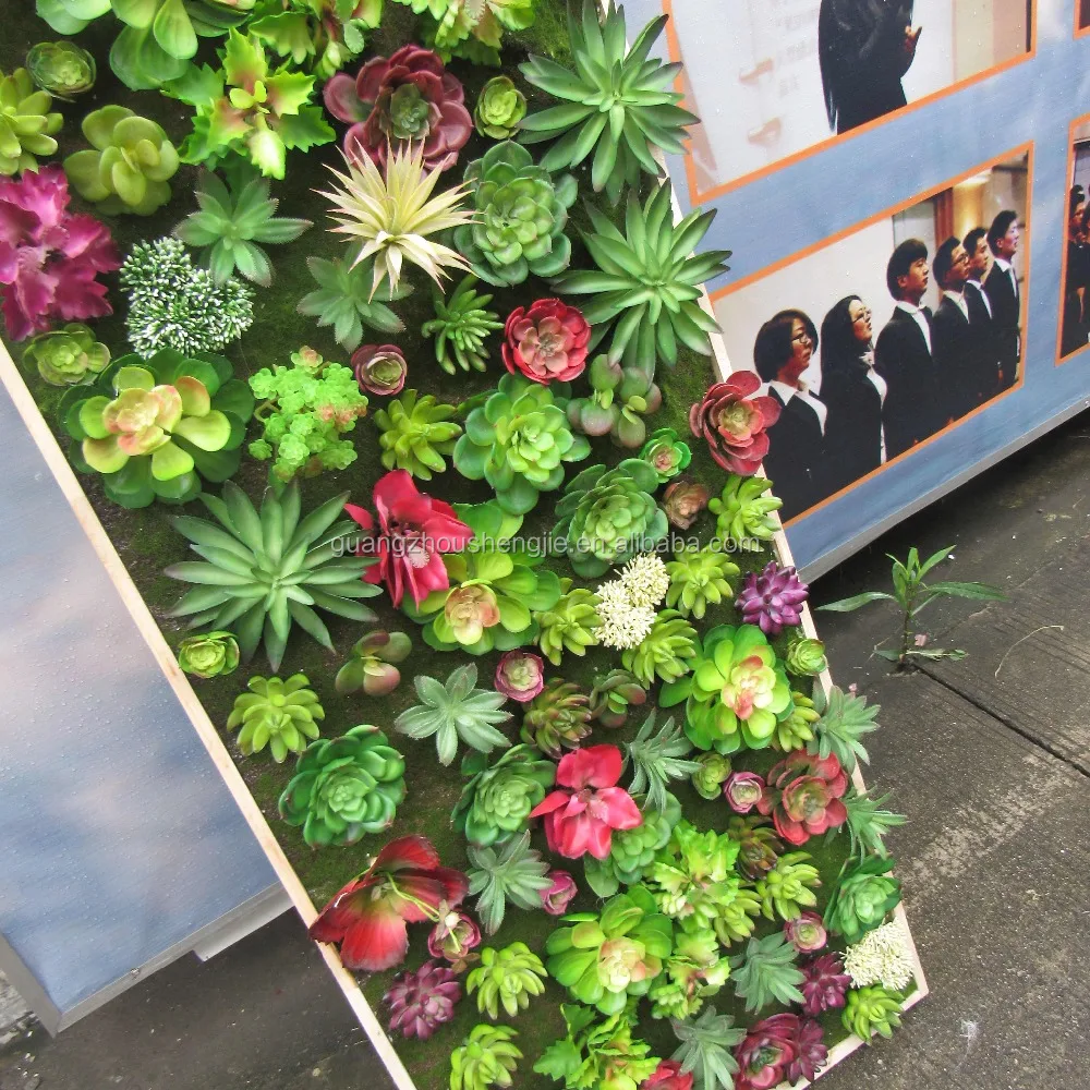 Decorative mini cactus succulent plant for vertical green wall